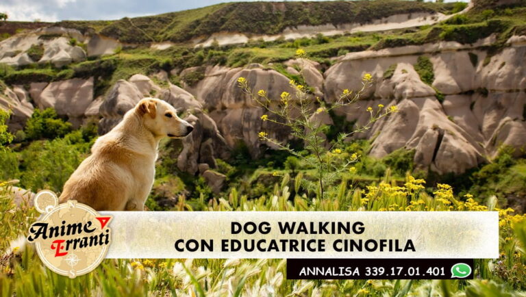 Escursioni in Campania Dog Walking con educatrice cinofila