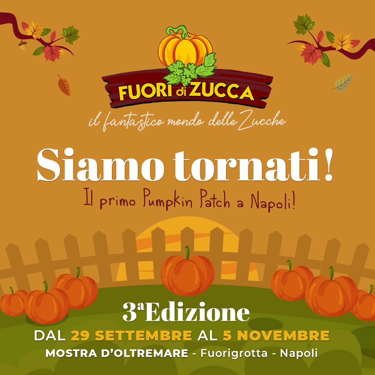 la terra delle zucche eboli