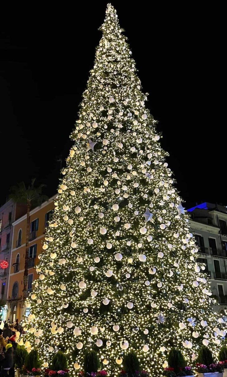 Albero Luci di Salerno accensione 6 dicembre