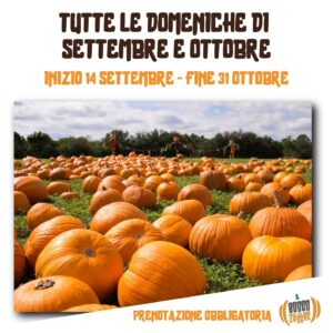 Il bosco delle zucche Bosco San Felice di Cicerale - Cicerale (SA) Ogni domenica dal 14 settembre al 31 ottobre