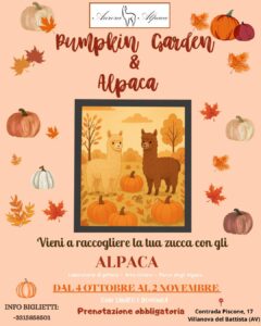 Pumpkin Garden & Alpaca