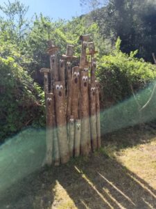 Domenica in natura all'Oasi la Fiumara