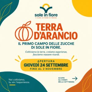 Terra d'arancio